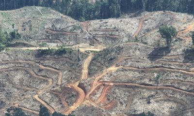 Hijau Tapi Hitam Pembiayaan Bank di Indonesia