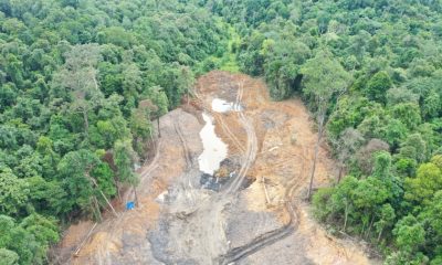Tambang Batubara Babat Hutan Universitas Mulawarman Saat Lebaran
