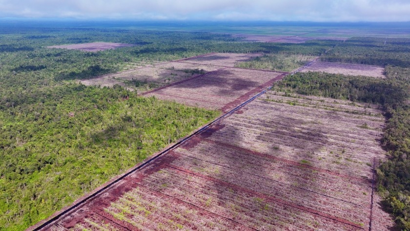 Koalisi Laporkan Deforestasi Mayawana Persada 2024 Capai 4.633 Ha