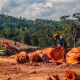 Kebun Energi Biang Banjir Pohuwato Gorontalo