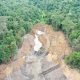 Tambang Batubara Babat Hutan Universitas Mulawarman Saat Lebaran