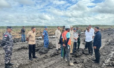 Sent: Surat Kekhawatiran Deforestasi di Papua ke Meja Uni Eropa