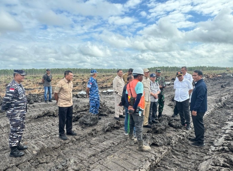Sent: Surat Kekhawatiran Deforestasi di Papua ke Meja Uni Eropa