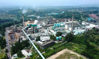 Dugaan Perbudakan Modern di Toba Pulp Lestari Diminta Diusut