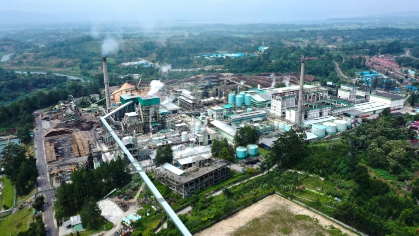 Dugaan Perbudakan Modern di Toba Pulp Lestari Diminta Diusut