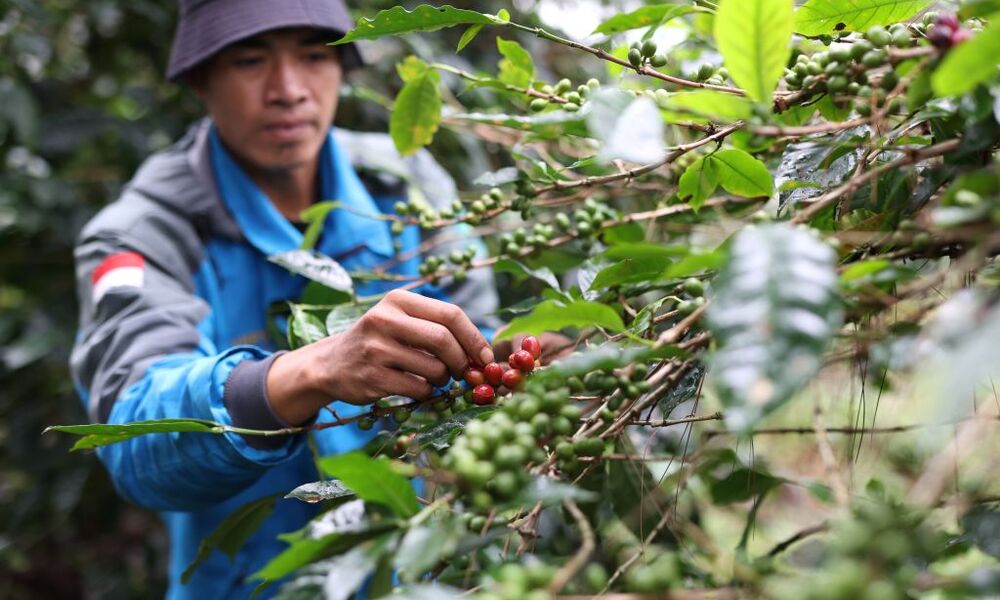 Wilayah Kelola Rakyat Solusi Iklim di Kamojang