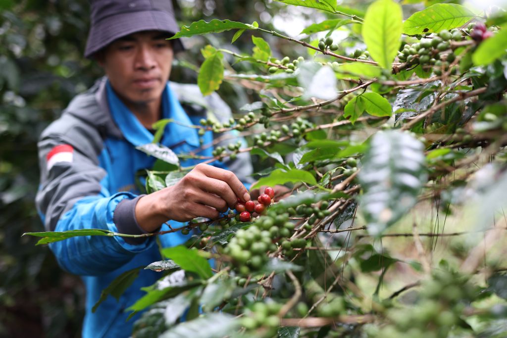 Wilayah Kelola Rakyat Solusi Iklim di Kamojang